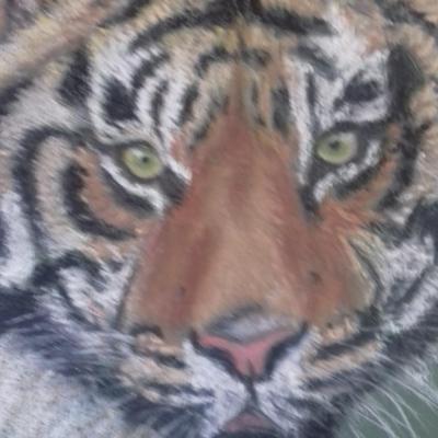 portrait tigre au pastel